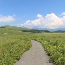 マップがなかったので、途中で来た道を戻りました