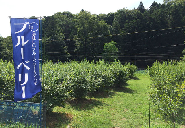 農業公園信貴山のどか村 クチコミ アクセス 営業時間 信貴山 フォートラベル 農業公園信貴山のどか村 クチコミ アクセス 営業時間 信貴山 フォートラベル