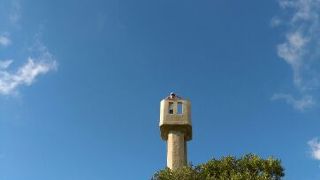 竹富島で一番高い場所☆