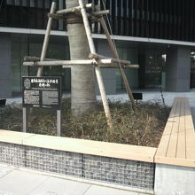 東京国税局前にある海図及び海洋調査発祥の地の標識です。