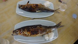 お奨め出来ます。