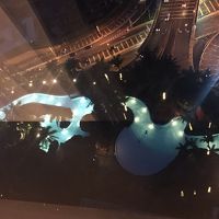 部屋からみたプール