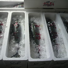 場内市場の一部には、日曜日でも氷詰めの商品が集まっています。