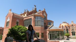 中心地にあるオアシス