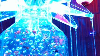 アートアクアリウム