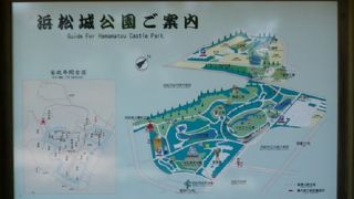 桜の名所の浜松城公園です