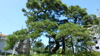 少々物足りない感じがしました