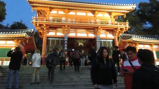 夜桜が綺麗でした