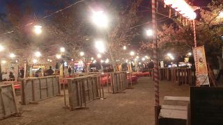 夜桜のライトアップは終わっていました