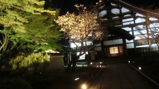 高台寺のライトアップは美しいです