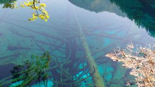 トイレはたくさんありますがトイレットペーパーはありません。その他注意事項もろもろ