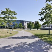 Mcdonald'sの交差点を越えてななめに入る