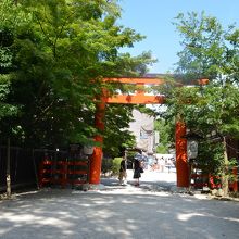 表参道右側にあ糺すの森