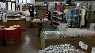 宮之浦港の目の前