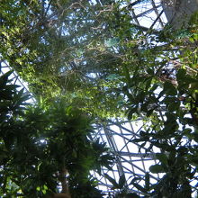 温室。南国気分を味わえます。