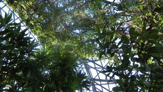 無料の日でもさほど混んでなかった