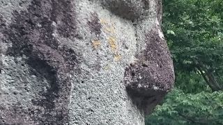 春宮境内から歩いて数分