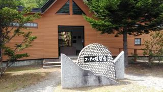 眼下に釧路湿原が広がります