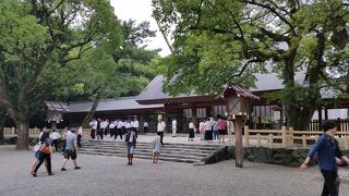 木々が生い茂る神宮