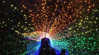 一面のイルミネーション！