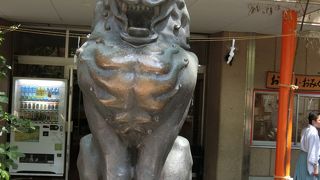 銀杏の木が立派