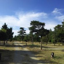 サイトです。広々してます