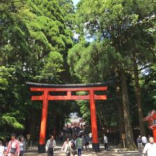 印象的な赤い鳥居