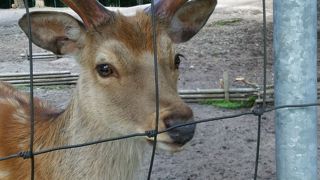 キレイなキャンプ場