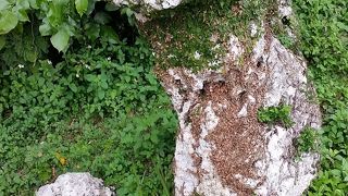 見に行くには意外と勇気がいります