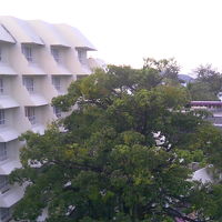 ホテルの外観です