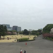 芝生広場にうまっていました