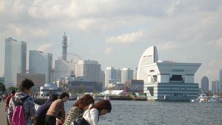 海沿いに広がる公園