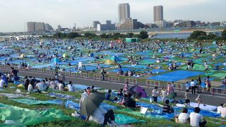 観覧できるエリアが広い