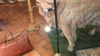 日本で買うより