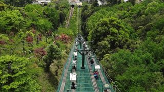 ばっちり天橋立が見えます