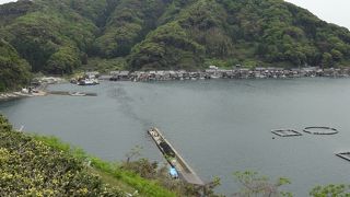 伊根全体を見回す