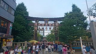 深川八幡祭りで大にぎわいの富岡八幡宮。
