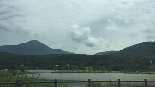 水が綺麗ではないですが