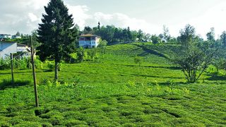 トルコ人の心のふるさとは、穏やかで豊かな街