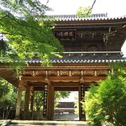 【下関】 京都のお寺を思い出させる功山寺山門！