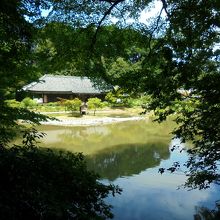 庭園の池から望む本堂