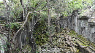 樹々に浸食された廃墟感がたまらない
