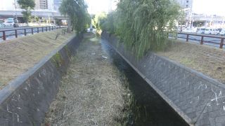 半世紀前の記憶をたどって