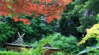 貴重な仏像を間近で見られます