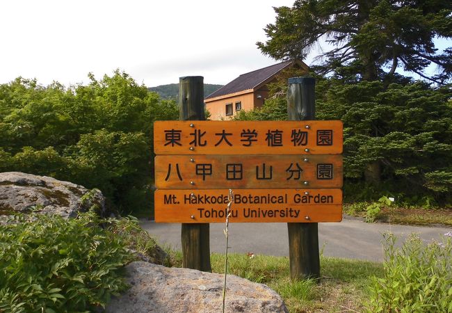 東北大学植物園八甲田山分園 クチコミ アクセス 営業時間 八甲田 酸ヶ湯温泉 フォートラベル