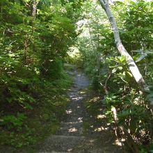 整備されていますが