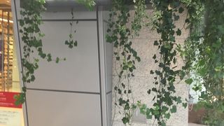 新宿NEWスポット