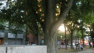 札幌のシンボルはリラの花