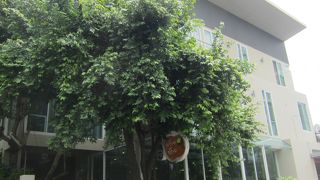 オシャレ！美味しい！安い！