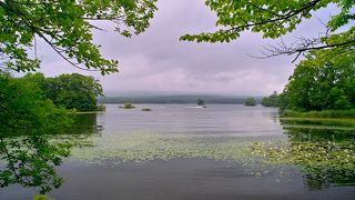 絶景の一端を垣間見る